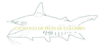 Catálogo de Peces de Colombia